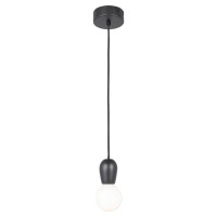 LSP-8118 Lussole Подвесной светильник черный