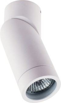 DL18438/11WW-R White DONOLUX Потолочный светильник