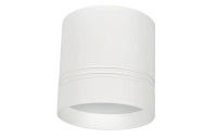 DL18482/WW-White R DONOLUX Потолочный светильник