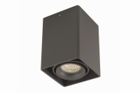 DL18611/01WW-SQ Shiny black DONOLUX Потолочный светильник