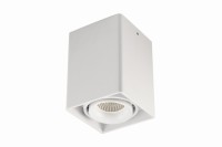 DL18611/01WW-SQ White DONOLUX Потолочный светильник
