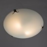 A3720PL-2CC Arte Lamp Светильник настенно-потолочный Plain, 30см, Е27*2*60Вт