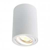 A1560PL-1WH Arte Lamp Потолочный светильник SENTRY