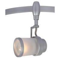 A3056PL-1SI Arte Lamp Трековый светильник
